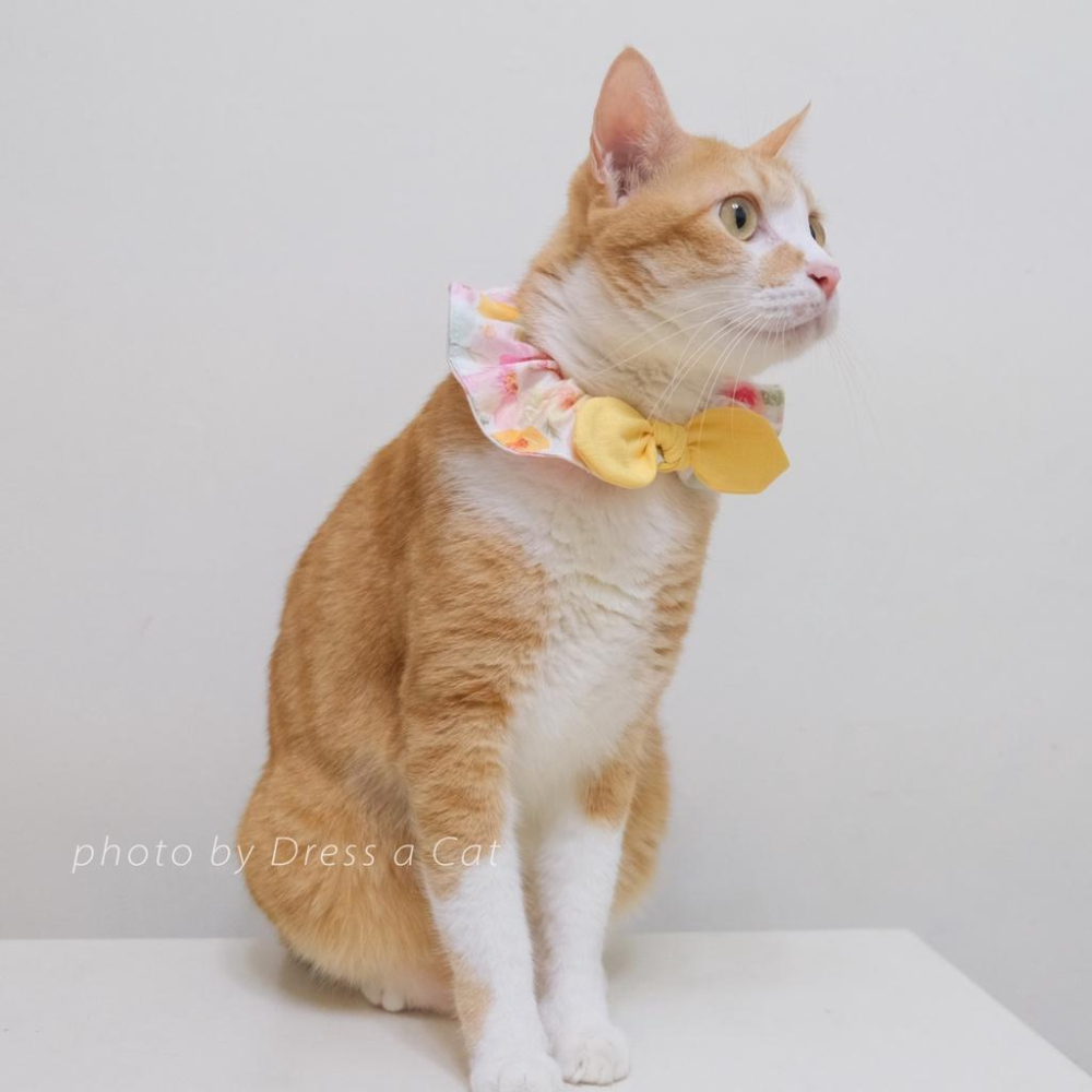 | Dress a Cat | 芙采采花 蝴蝶結領巾項圈 寵物貓 荷葉領巾 貓 寵物 項圈 布項圈 手作項圈-細節圖3