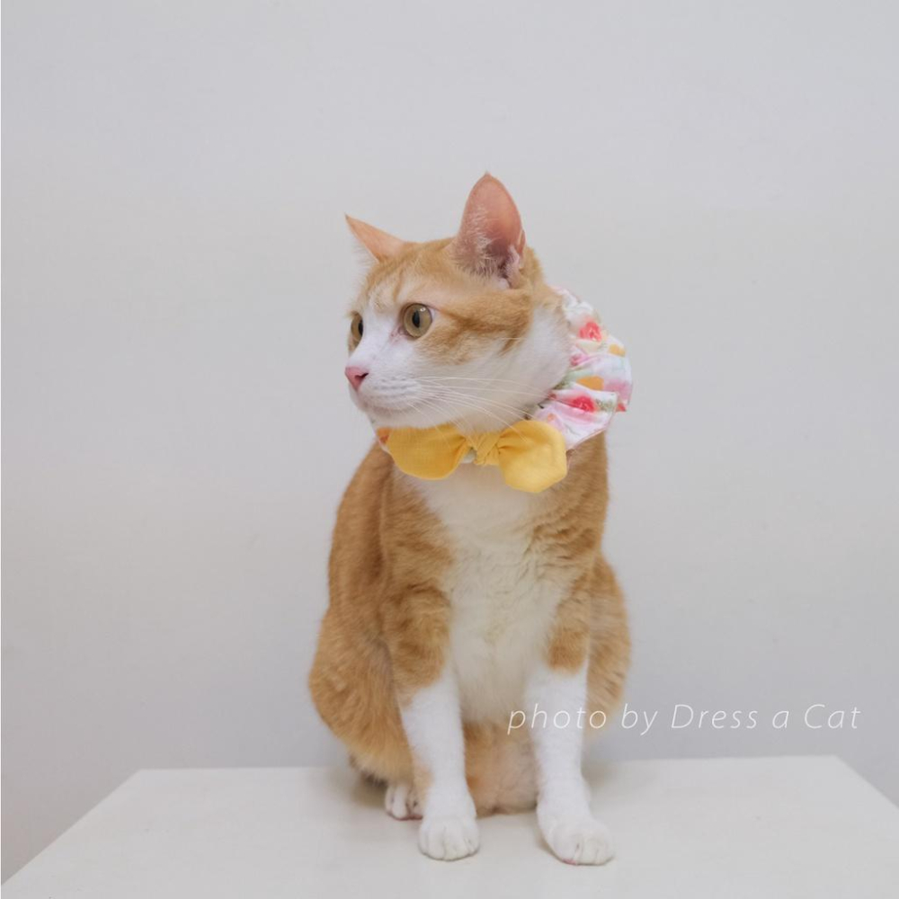 | Dress a Cat | 芙采采花 蝴蝶結領巾項圈 寵物貓 荷葉領巾 貓 寵物 項圈 布項圈 手作項圈-細節圖5