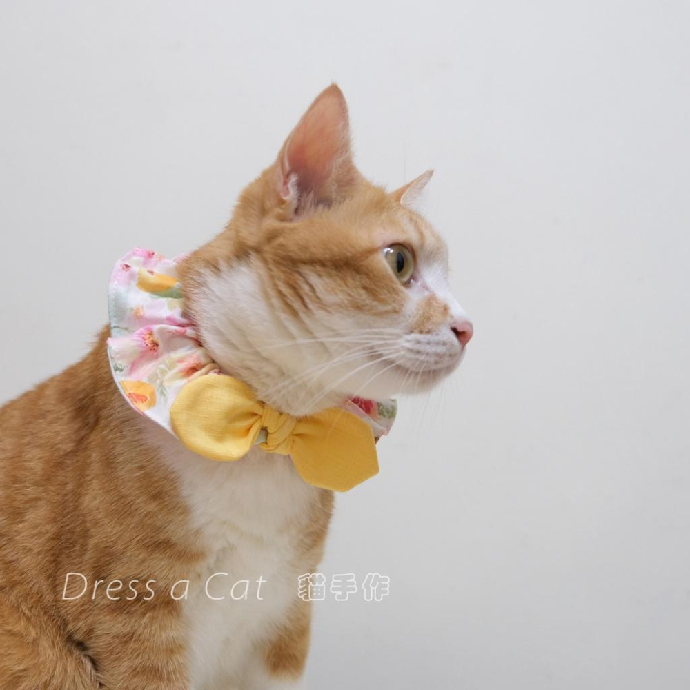 | Dress a Cat | 芙采采花 蝴蝶結領巾項圈 寵物貓 荷葉領巾 貓 寵物 項圈 布項圈 手作項圈-細節圖6
