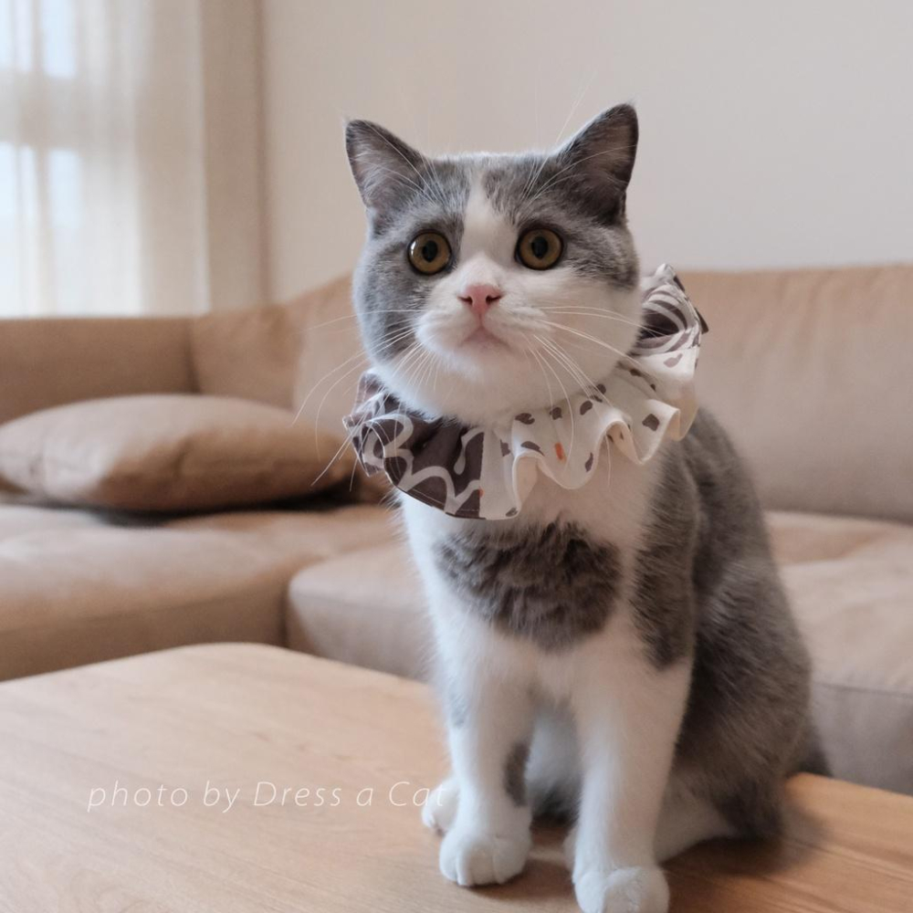 | Dress a Cat |_滴綴拚色 貓項圈 領巾項圈 荷葉領巾 貓 寵物 項圈 布項圈 手作項圈-細節圖2