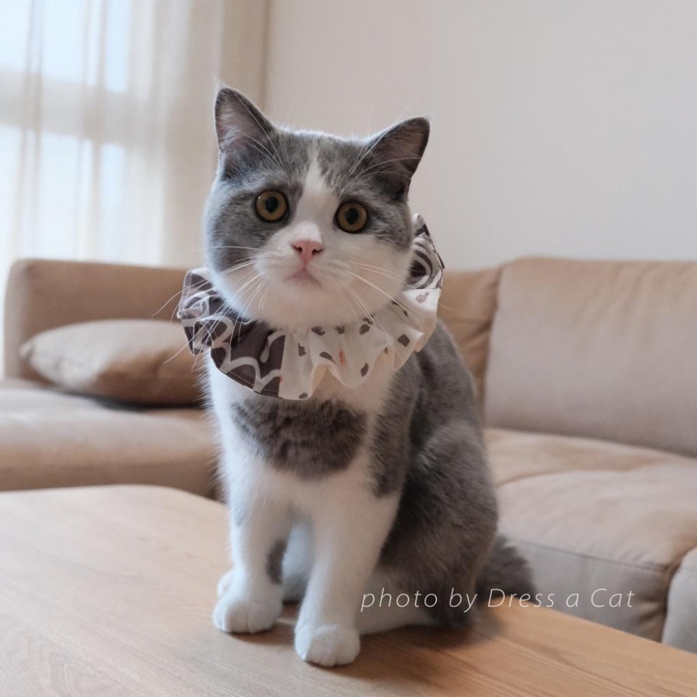 Cat Dress 貓手作 _滴綴拚色 貓項圈 領巾項圈 荷葉領巾 貓 寵物 項圈 布項圈 手作項圈-細節圖2