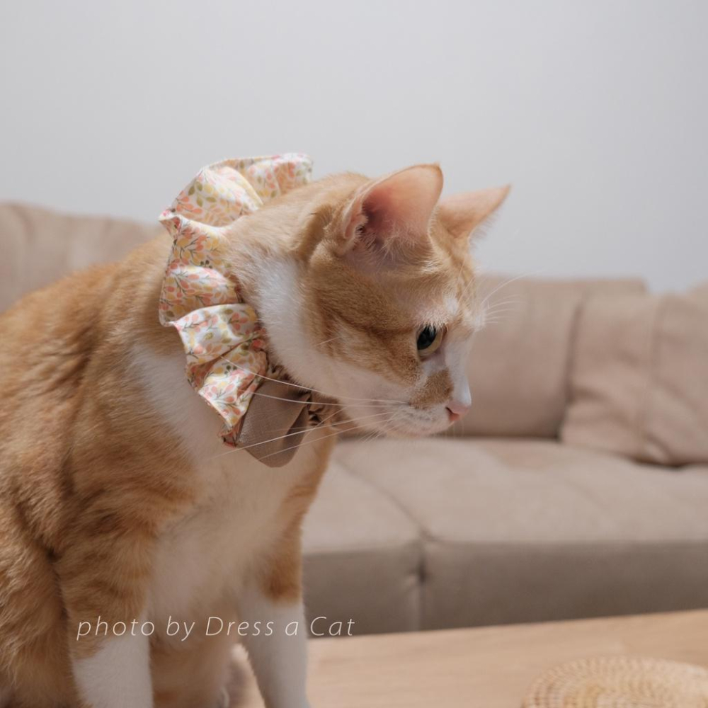 | Dress a Cat | 秋最 蝴蝶結領巾項圈 寵物貓 荷葉領巾 貓 寵物 項圈 布項圈 手作項圈-細節圖2