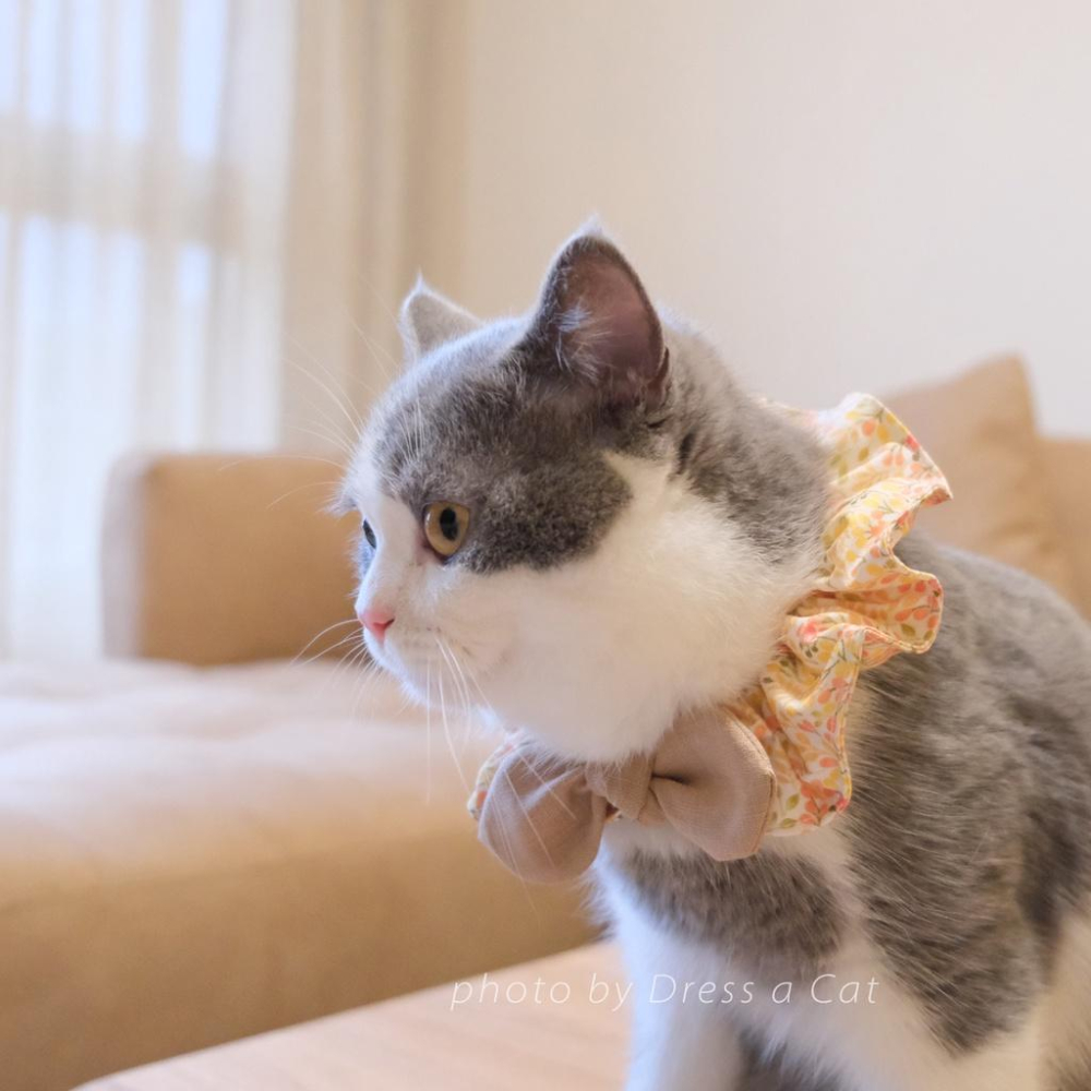 | Dress a Cat | 秋最 蝴蝶結領巾項圈 寵物貓 荷葉領巾 貓 寵物 項圈 布項圈 手作項圈-細節圖6