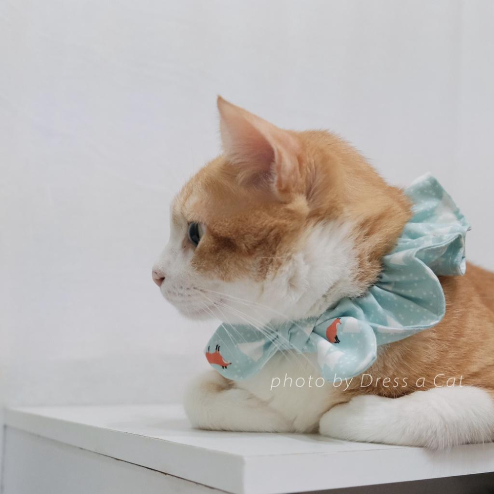 | Dress a Cat | 冰小狐狸 蝴蝶結領巾項圈 寵物貓 荷葉領巾 貓 寵物 項圈 布項圈 手作項圈-細節圖2