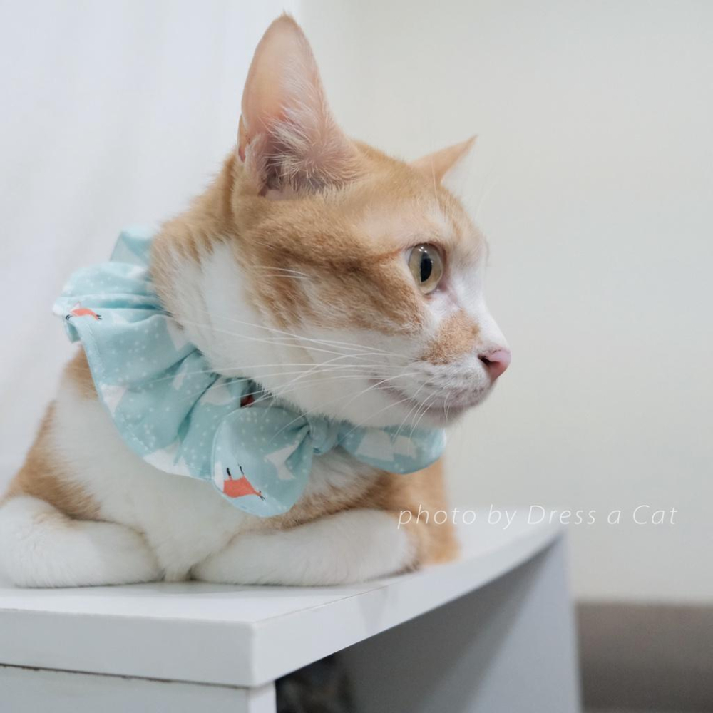 | Dress a Cat | 冰小狐狸 蝴蝶結領巾項圈 寵物貓 荷葉領巾 貓 寵物 項圈 布項圈 手作項圈-細節圖3