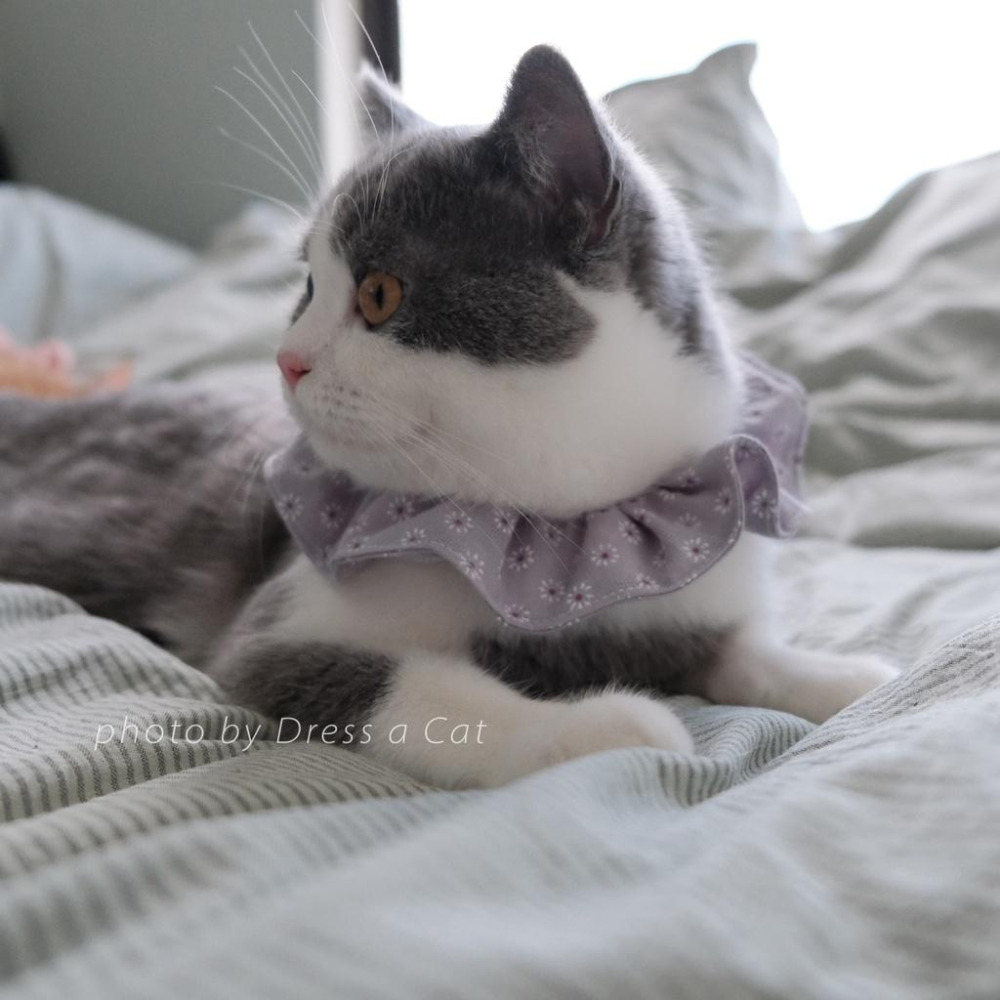 | Dress a Cat |_粉與紫 小白花項圈 貓項圈 領巾項圈 荷葉領巾 貓 寵物 項圈 布項圈 手作項圈-細節圖4