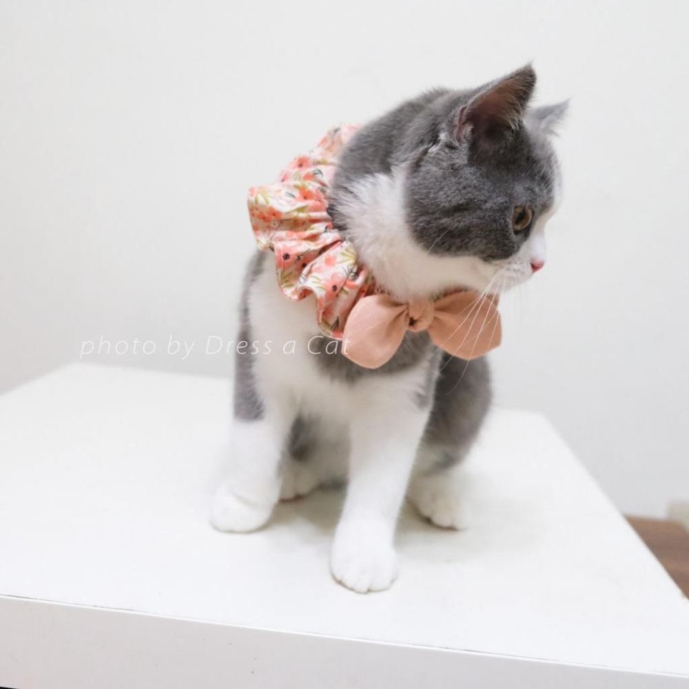 | Dress a Cat | 雅灰穗桔 蝴蝶結領巾項圈 寵物貓 荷葉領巾 貓 寵物 項圈 布項圈 手作項圈-細節圖3