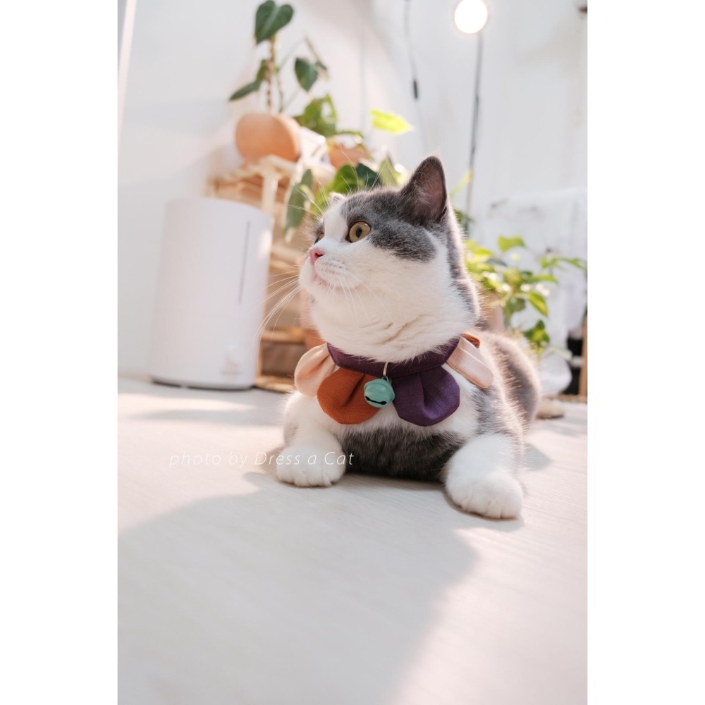 Cat Dress 貓手作 _手作 配色款 _花開富貴 貓 寵物 布項圈 花朵項圈 小花朵朵 魔鬼氈開口-細節圖2