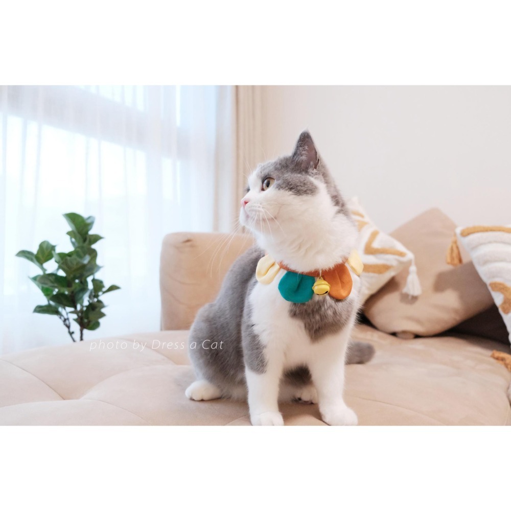 Cat Dress 貓手作 _手作 配色款 _花開富貴 貓 寵物 布項圈 花朵項圈 小花朵朵 魔鬼氈開口-細節圖3