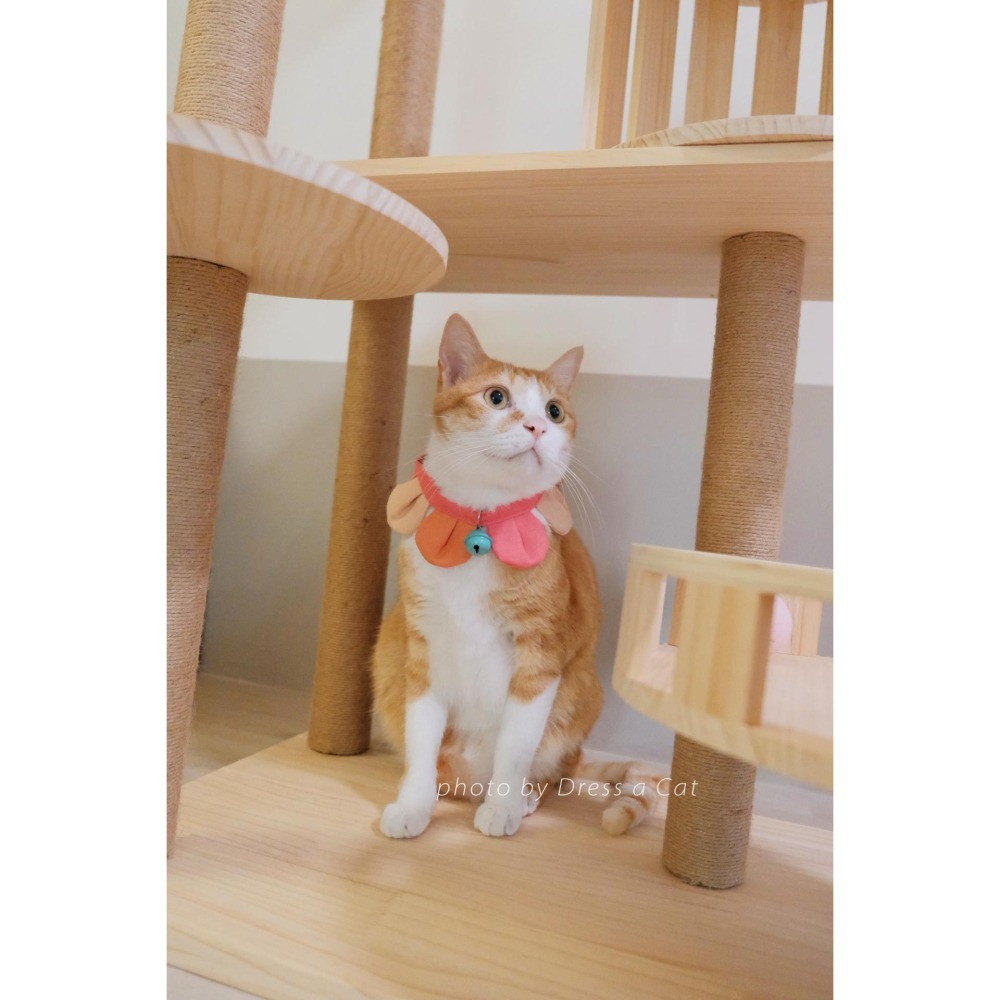 Cat Dress 貓手作 _手作 配色款 _花開富貴 貓 寵物 布項圈 花朵項圈 小花朵朵 魔鬼氈開口-細節圖5