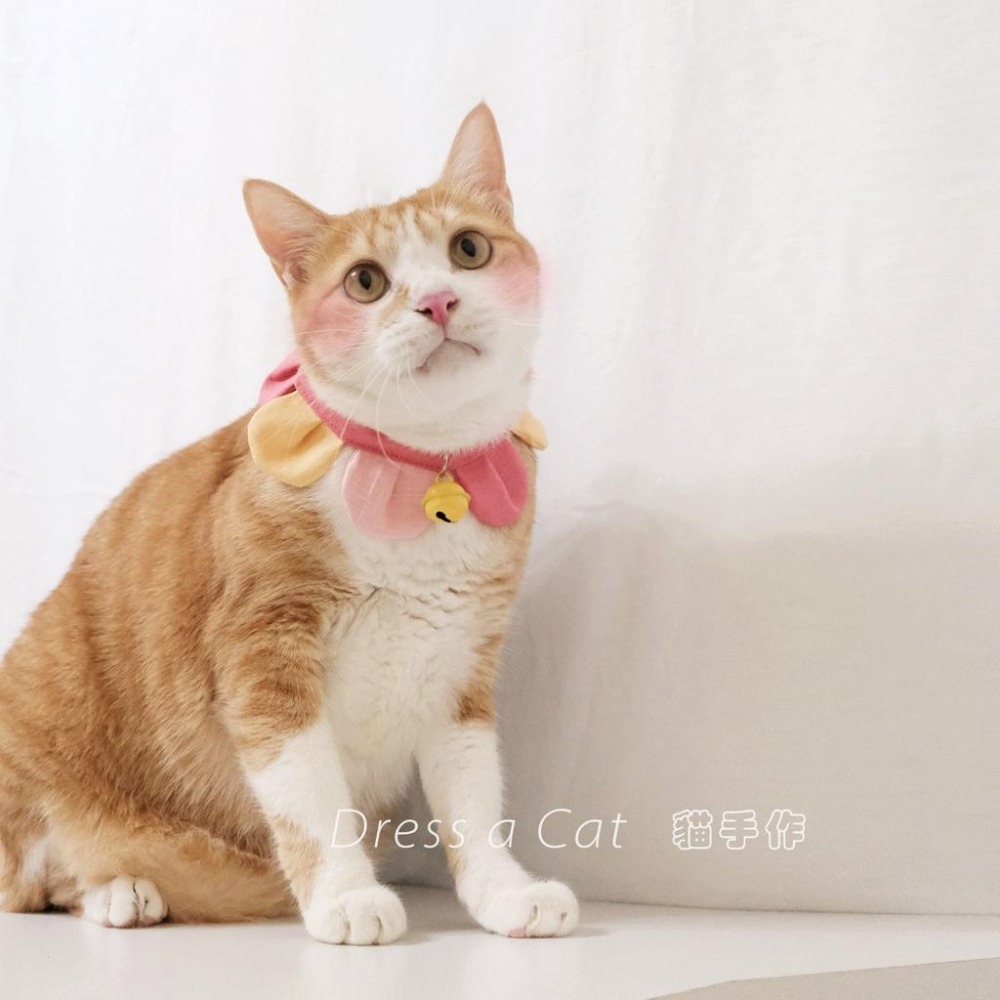 Cat Dress 貓手作 _手作 配色款 _花開富貴 貓 寵物 布項圈 花朵項圈 小花朵朵 魔鬼氈開口-細節圖6