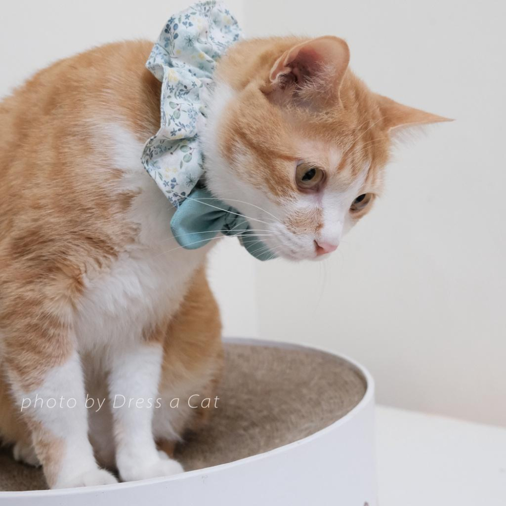 | Dress a Cat |  蒲英莓果 蝴蝶結領巾項圈 寵物貓 荷葉領巾 貓 寵物 項圈 布項圈 手作項圈-細節圖3