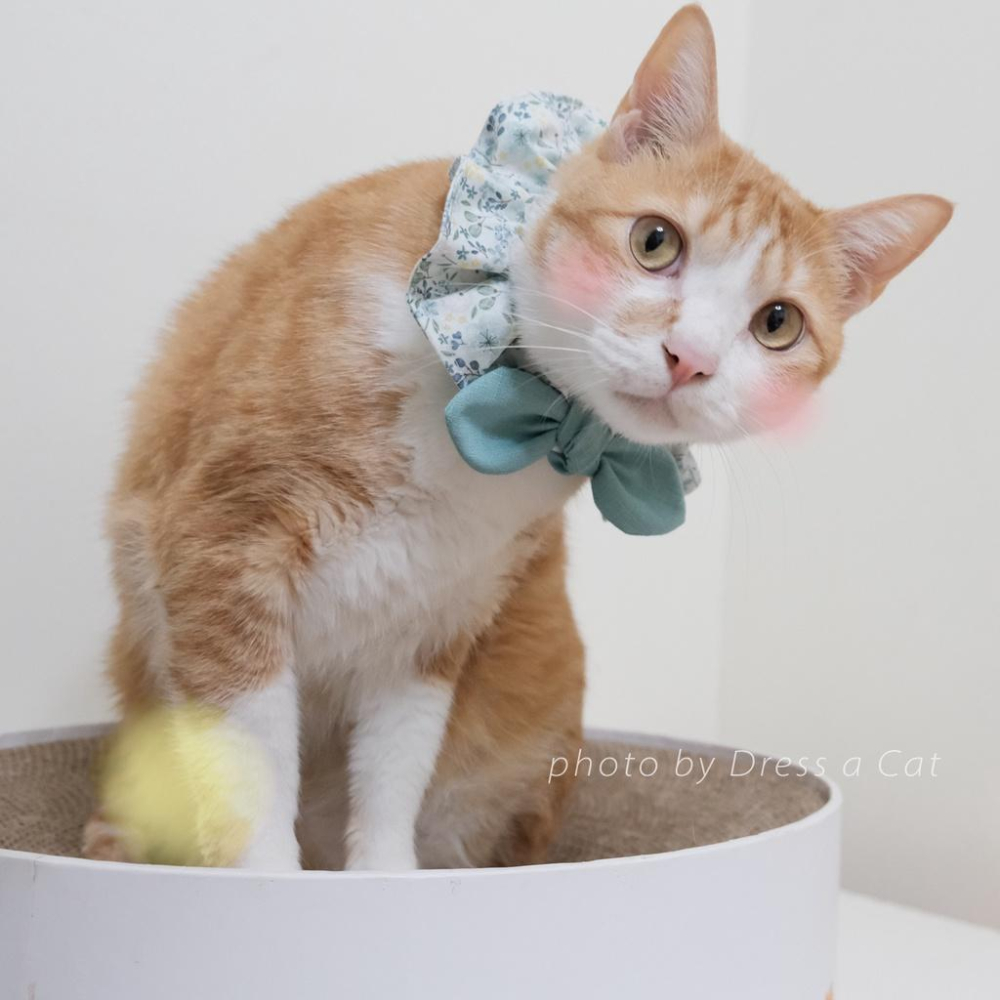 | Dress a Cat |  蒲英莓果 蝴蝶結領巾項圈 寵物貓 荷葉領巾 貓 寵物 項圈 布項圈 手作項圈-細節圖4