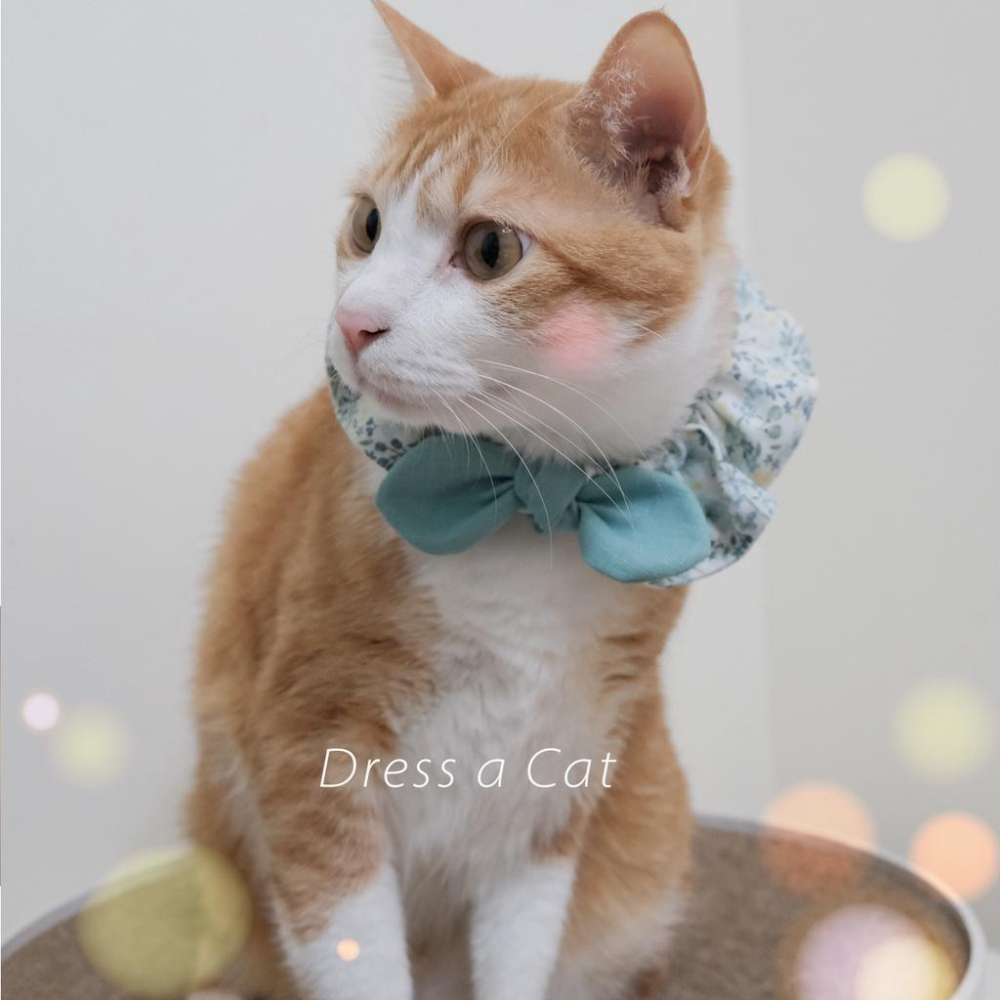 | Dress a Cat |  蒲英莓果 蝴蝶結領巾項圈 寵物貓 荷葉領巾 貓 寵物 項圈 布項圈 手作項圈-細節圖6