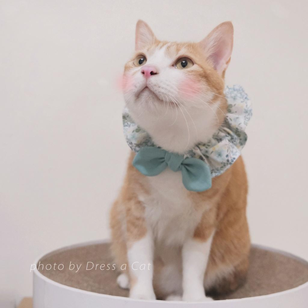 | Dress a Cat |  蒲英莓果 蝴蝶結領巾項圈 寵物貓 荷葉領巾 貓 寵物 項圈 布項圈 手作項圈-細節圖8