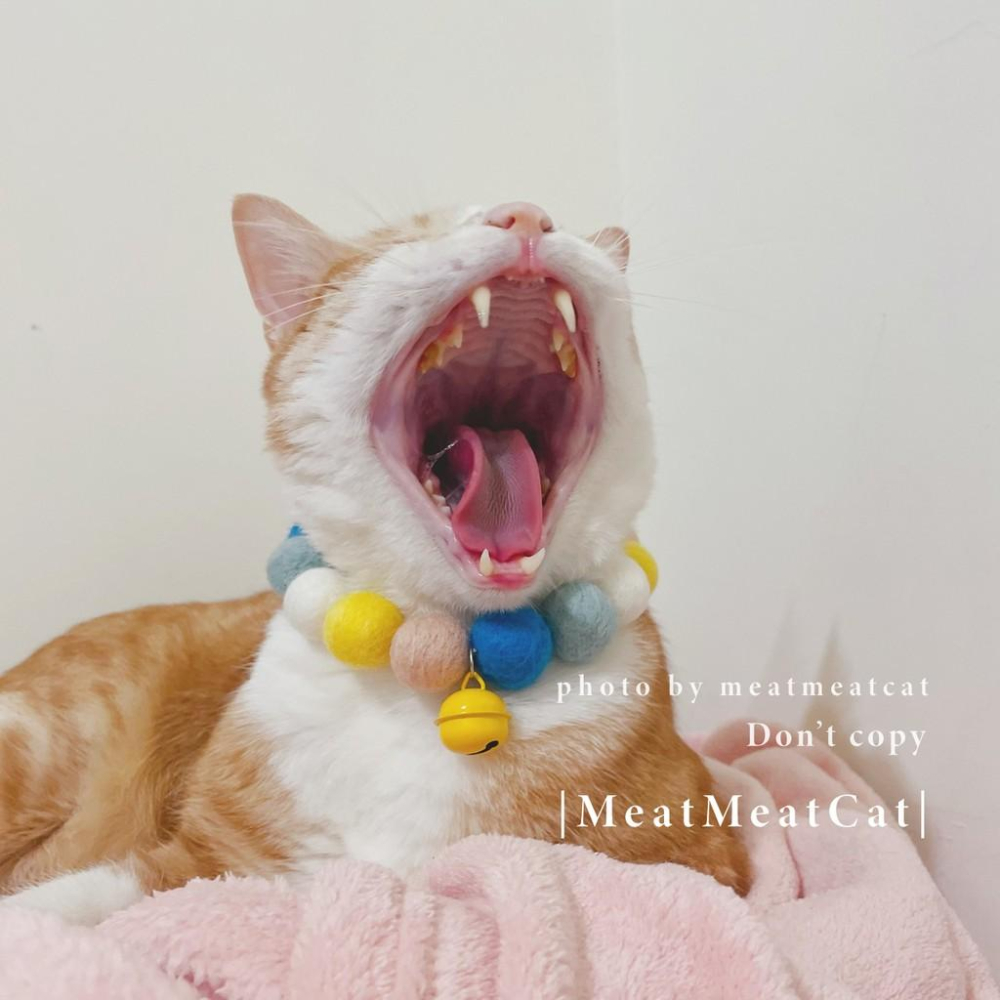 | MeatMeatCat | ▪️ |手作| _烟藍湛湛 羊毛氈 項圈 貓 寵物 項圈  球球 彈力繩 項圈-細節圖3
