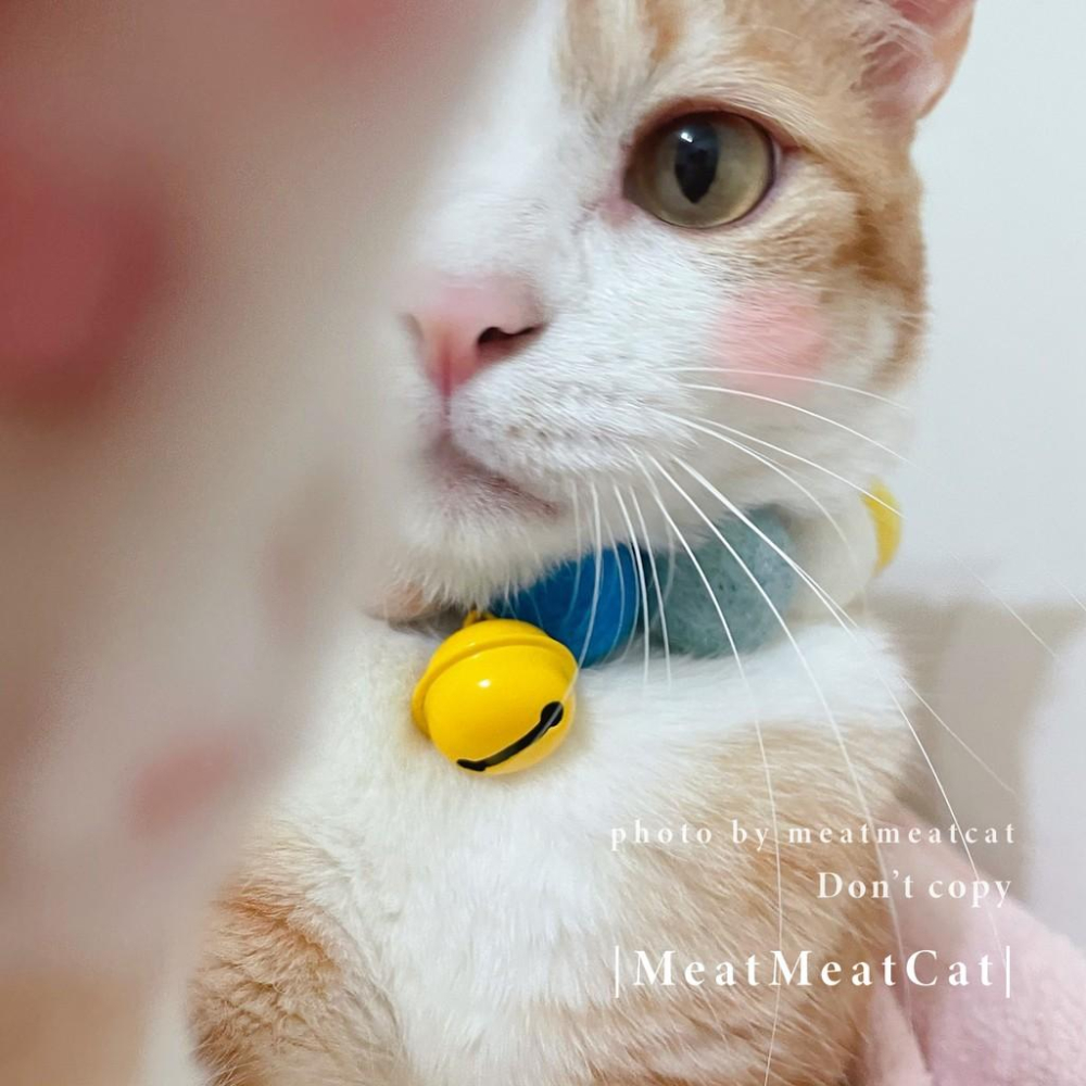 | MeatMeatCat | ▪️ |手作| _烟藍湛湛 羊毛氈 項圈 貓 寵物 項圈  球球 彈力繩 項圈-細節圖4
