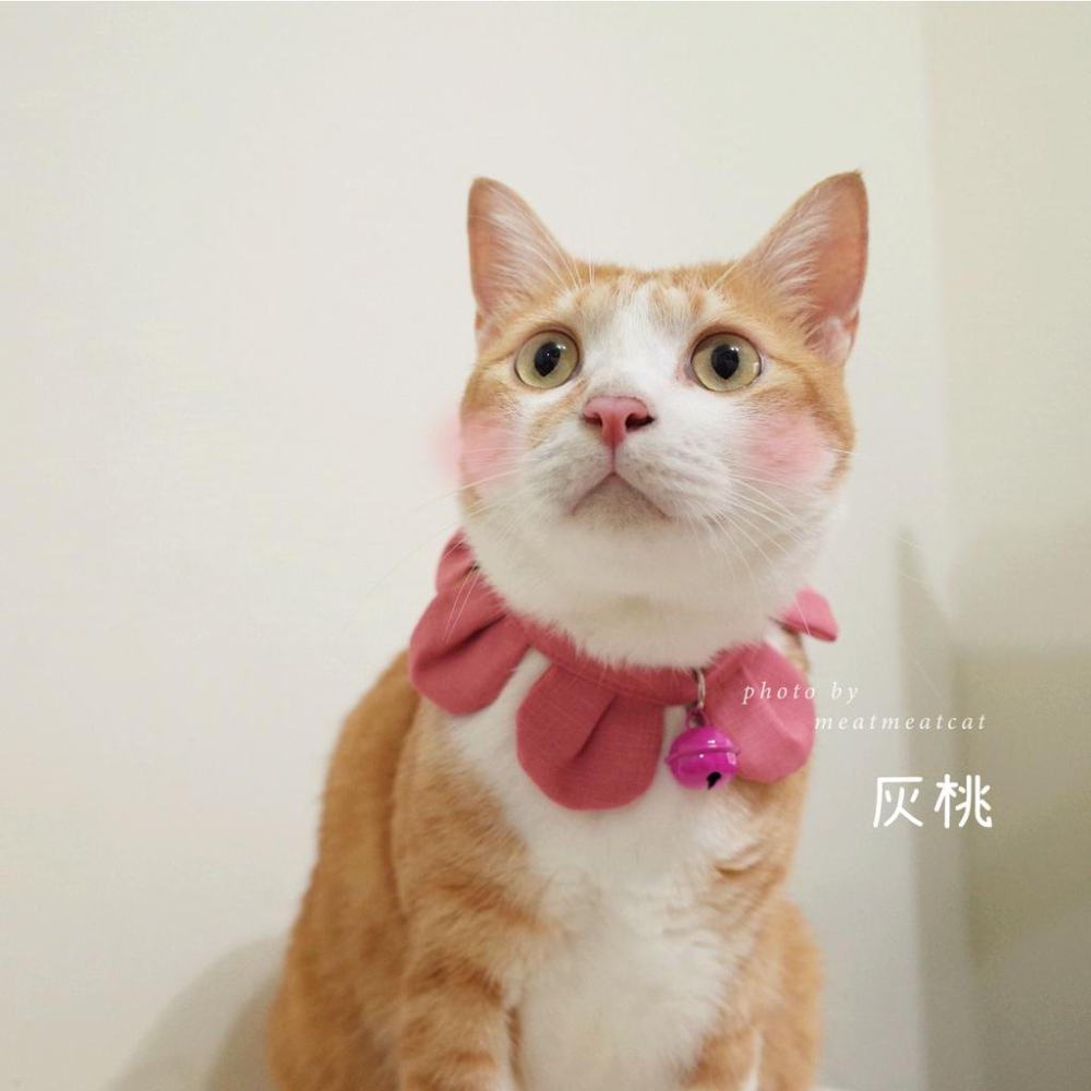 | Dress a Cat | _ 手作 _素面款_花開富貴 布項圈 花朵項圈 貓項圈魔鬼氈開口-細節圖4