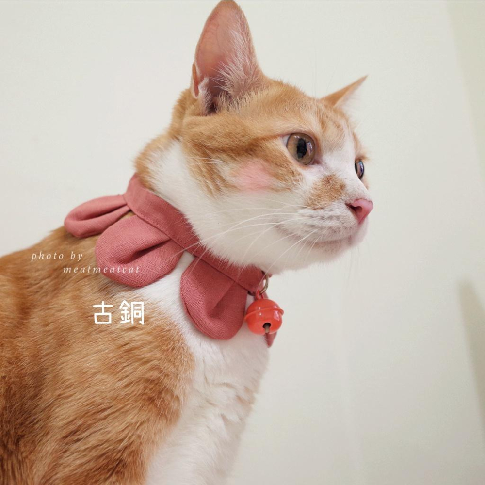 | Dress a Cat | _ 手作 _素面款_花開富貴 布項圈 花朵項圈 貓項圈魔鬼氈開口-細節圖5