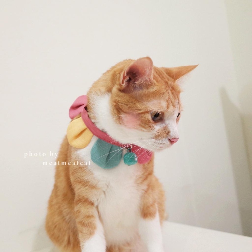 Cat Dress 貓手作 配色款_花開富貴 貓 寵物 布項圈 花朵項圈 小花朵朵 魔鬼氈開口-細節圖3