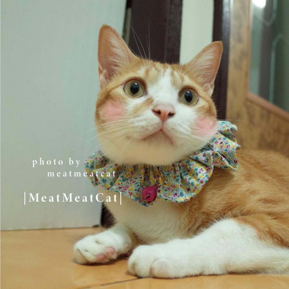 Dress a Cat ▪️ |手作| _春系列 綻放小花荷葉領巾項圈 貓 寵物 項圈 布項圈 手作項圈-細節圖2