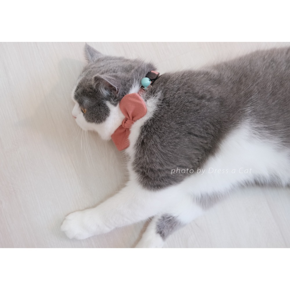 Cat Dress 貓手作 _素面蝶結領巾項圈 貓 寵物 貓項圈 布項圈 手作項圈-細節圖4