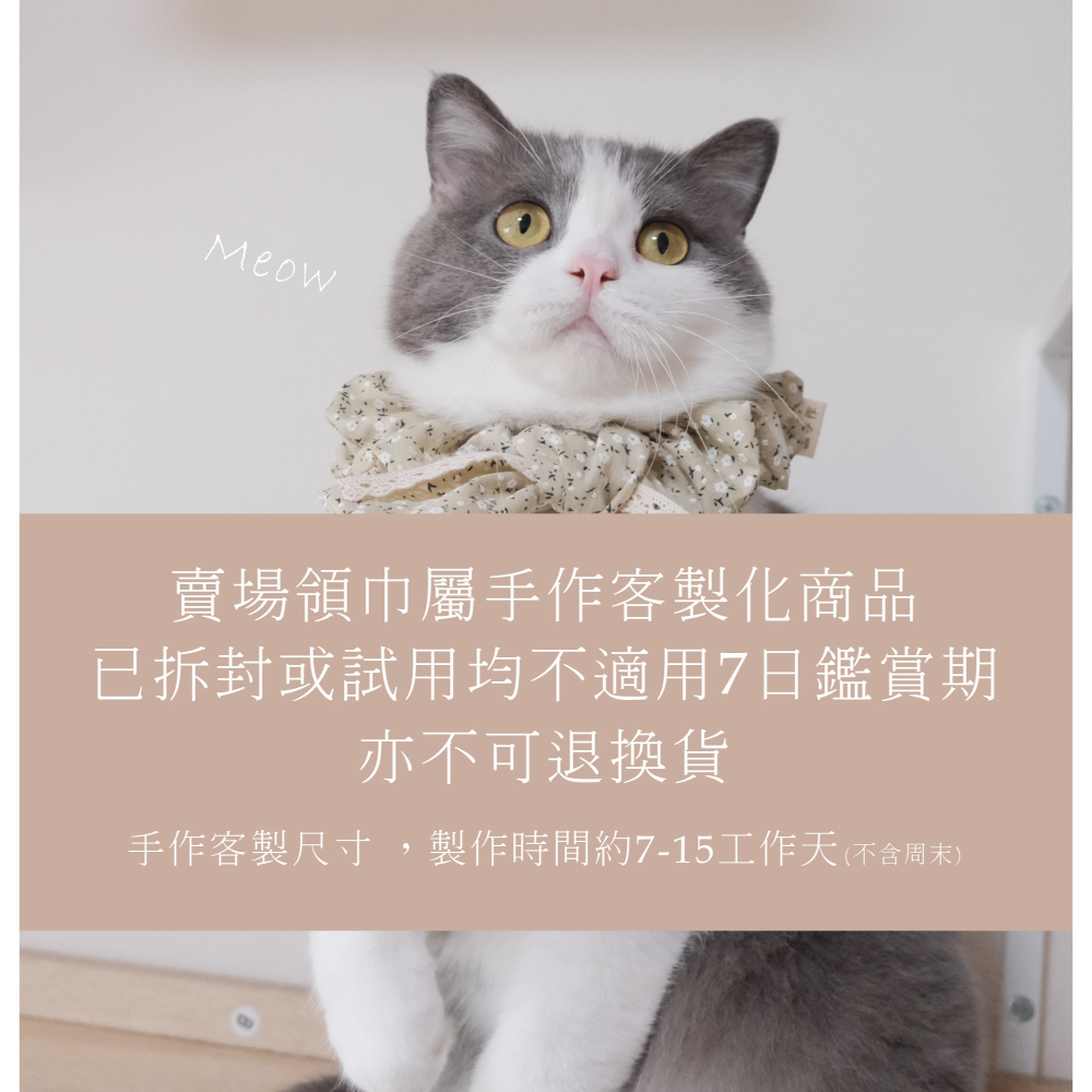 Cat Dress 貓手作 _素面蝶結領巾項圈 貓 寵物 貓項圈 布項圈 手作項圈-細節圖6