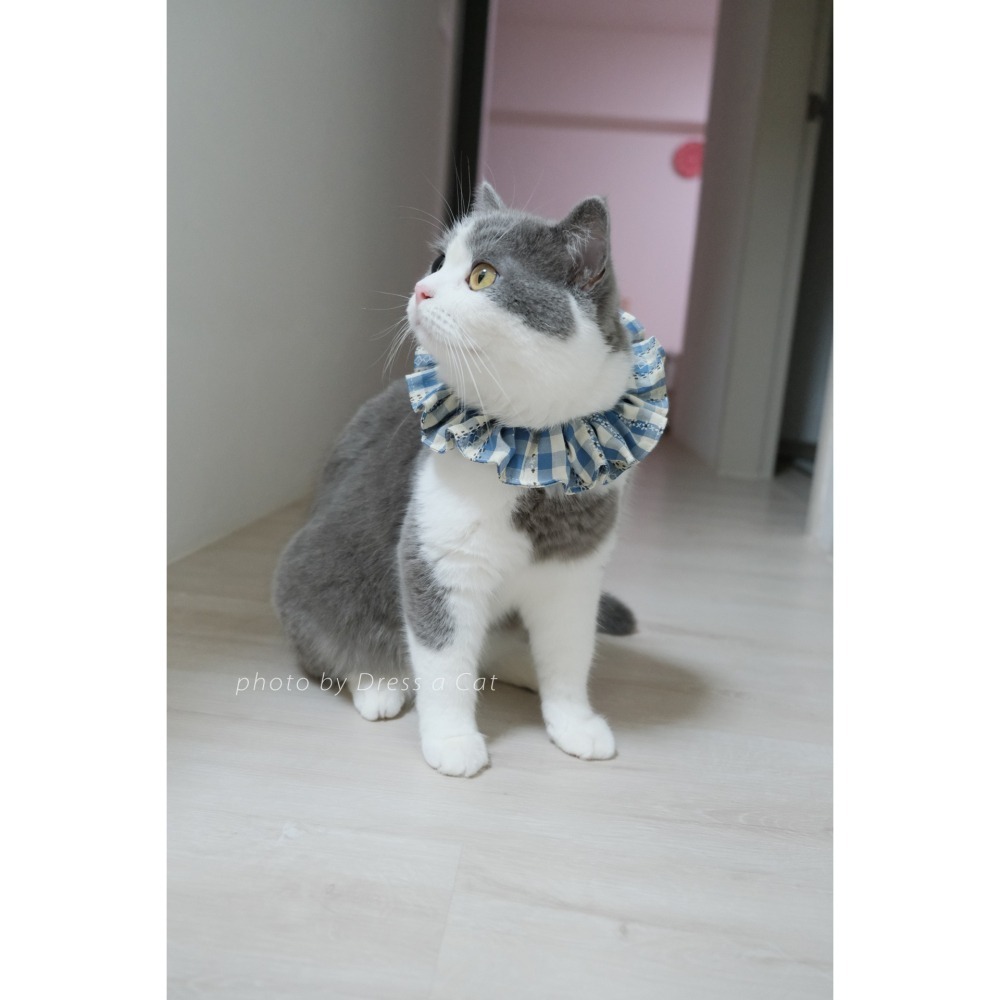 Cat Dress 貓手作 _田園風 格紋森林系荷葉項圈 領巾項圈 荷葉領巾 貓 寵物 項圈 布項圈 手作項圈-細節圖3