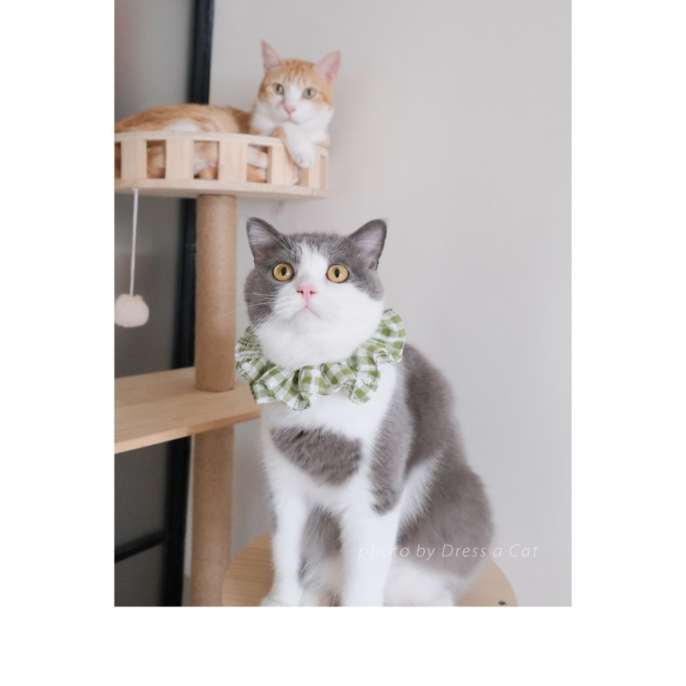 Cat Dress 貓手作 _田園風 格紋森林系荷葉項圈 領巾項圈 荷葉領巾 貓 寵物 項圈 布項圈 手作項圈-細節圖4
