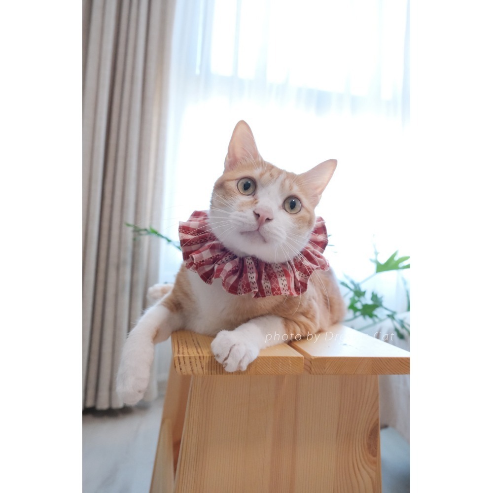 Cat Dress 貓手作 _田園風 格紋森林系荷葉項圈 領巾項圈 荷葉領巾 貓 寵物 項圈 布項圈 手作項圈-細節圖5