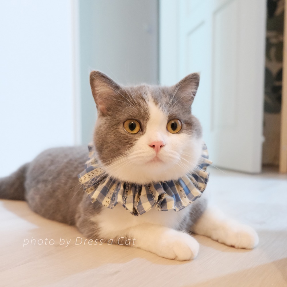 Cat Dress 貓手作 _田園風 格紋森林系荷葉項圈 領巾項圈 荷葉領巾 貓 寵物 項圈 布項圈 手作項圈-規格圖7