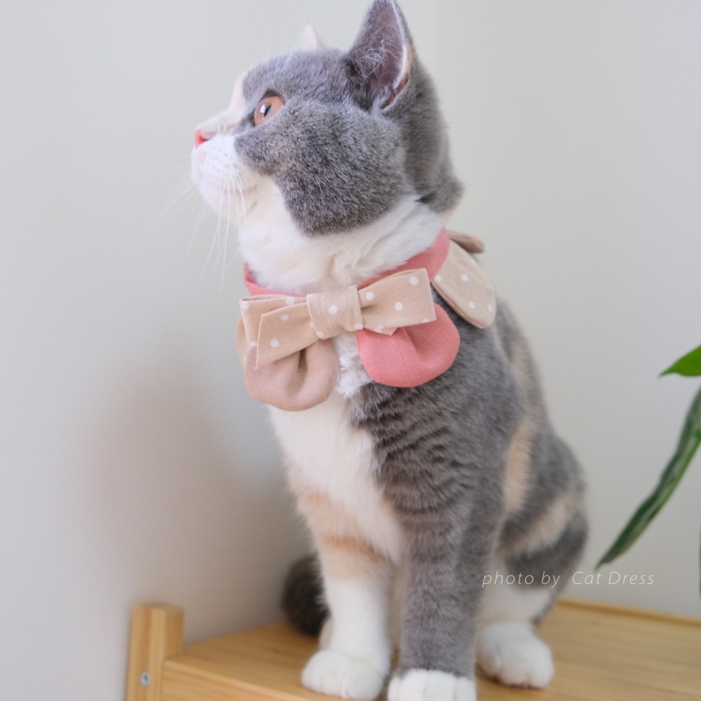 Cat Dress 貓手作 _小蝶結點點 花開富貴 布項圈 花朵項圈 貓項圈-細節圖2