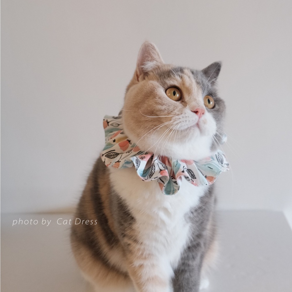 Cat Dress 貓手作 _春芽_貓鬆緊帶項圈 領巾項圈 荷葉領巾 貓項圈 手作項圈-細節圖2
