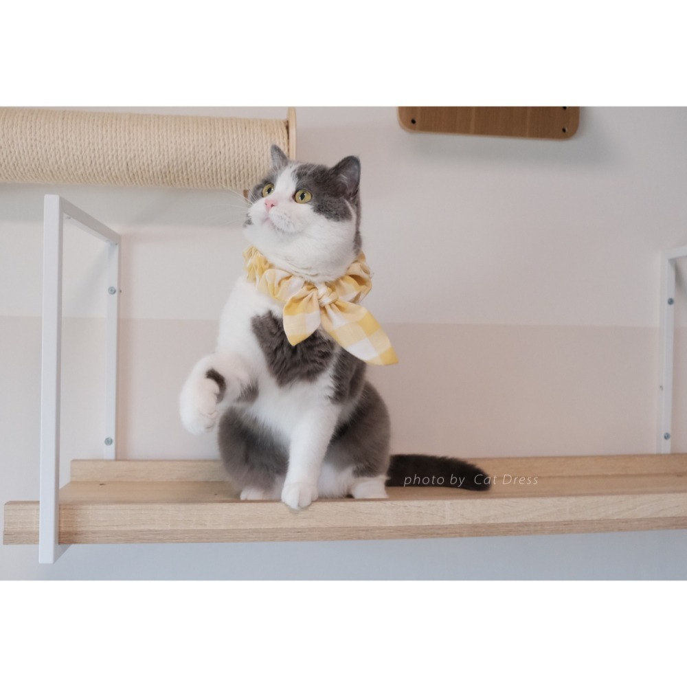 Cat Dress 貓手作 _長短結領巾 黃色大方格蝶結款 裝飾領巾 手作項圈-細節圖2