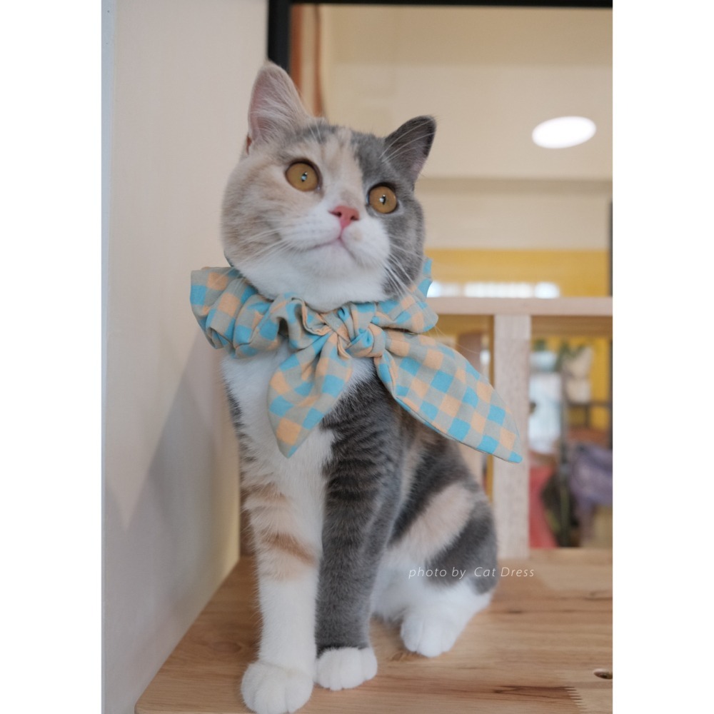 Cat Dress 貓手作 _長短結領巾 雙色小方格蝶結款 裝飾領巾 寵物裝飾項圈 貓項圈-細節圖2