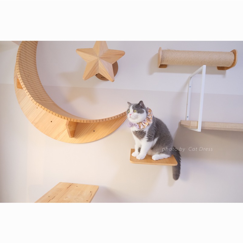 Cat Dress 貓手作 _貓步在薰衣草香里_貓鬆緊帶項圈 荷葉領巾 布項圈 手作客製項圈-細節圖2