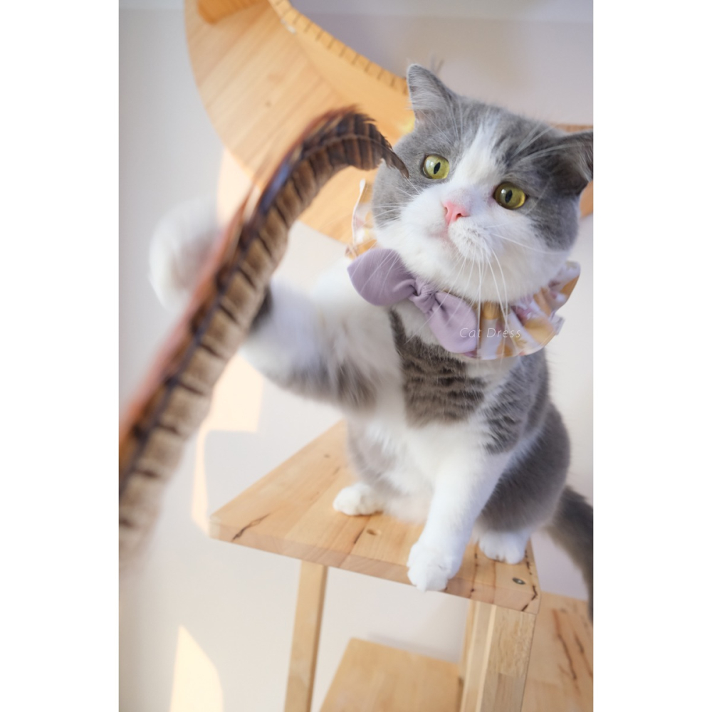 Cat Dress 貓手作 _貓步在薰衣草香里_貓鬆緊帶項圈 荷葉領巾 布項圈 手作客製項圈-細節圖3