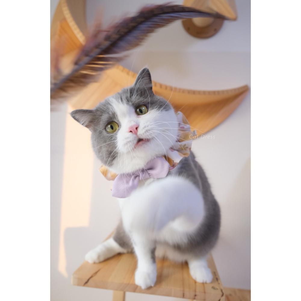 Cat Dress 貓手作 _貓步在薰衣草香里_貓鬆緊帶項圈 荷葉領巾 布項圈 手作客製項圈-細節圖5