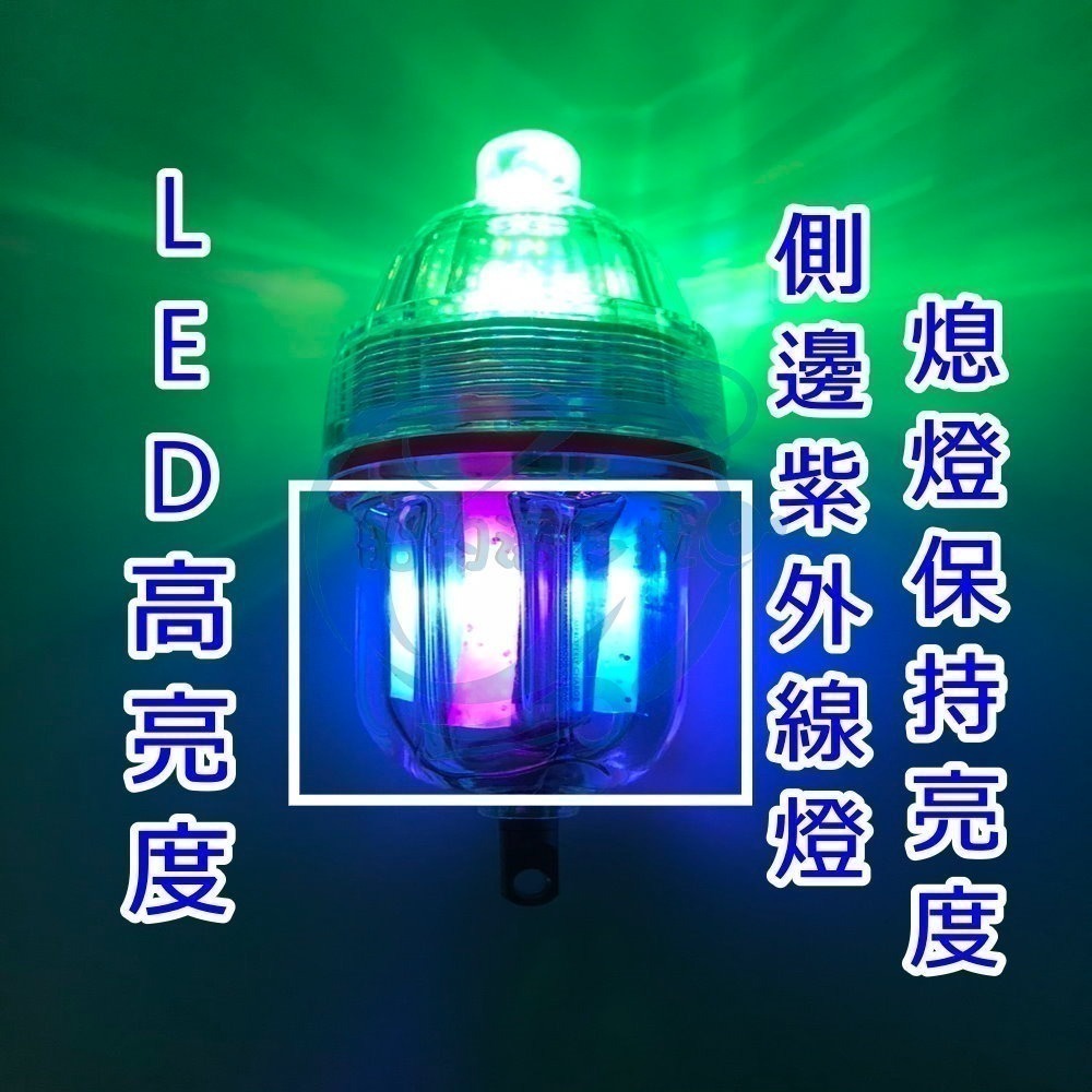 【船釣潘多拉】終極水燈 3號電池水燈 誘魚燈 白帶魚燈 船釣魚燈 單頭亮 集魚燈 水燈 水中燈-細節圖5
