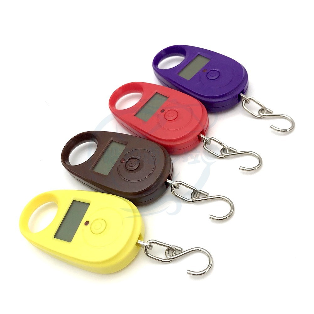 【船釣潘多拉】25KG 釣魚秤 電子秤 手提秤 小型秤 迷你電子秤 手提 掛鉤式 附電池 單入-細節圖2