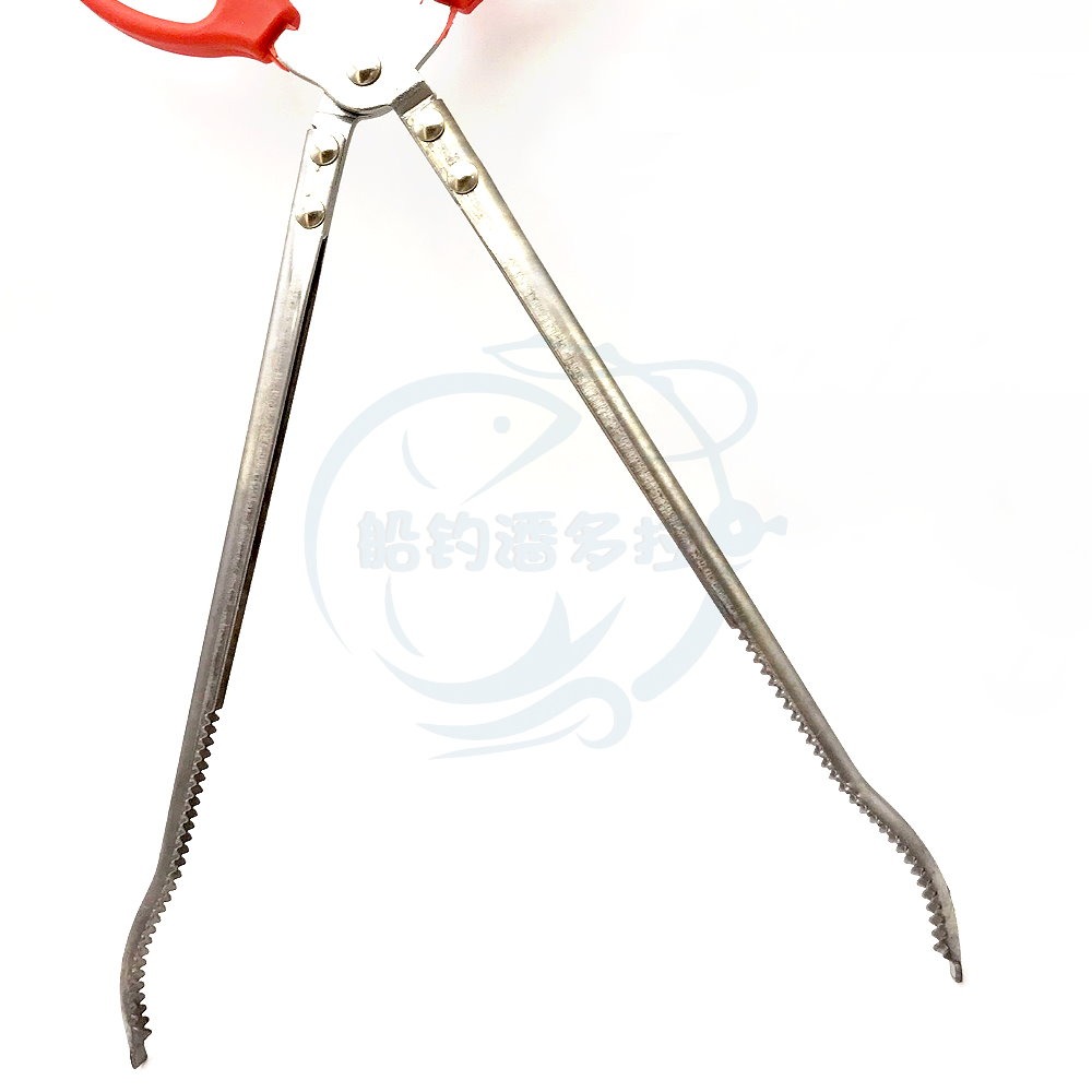 【船釣潘多拉】螃蟹夾子 萬用夾 魚夾 鱔魚夾 黃鱔夾 泥鰍夾-細節圖3