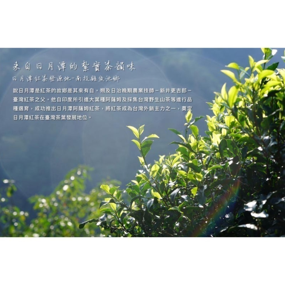 Gelovery 臺灣阿薩姆紅茶(8入)-細節圖3