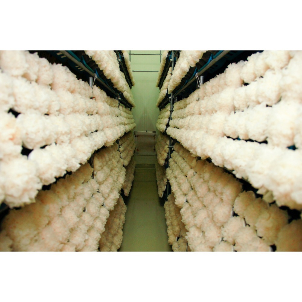 埔里菇寶-有機雪耳飲200mlX24瓶/箱-細節圖3