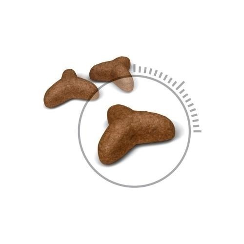 法國 皇家 貓飼料 L40 體重控制成貓 FCN Royal canin-細節圖2