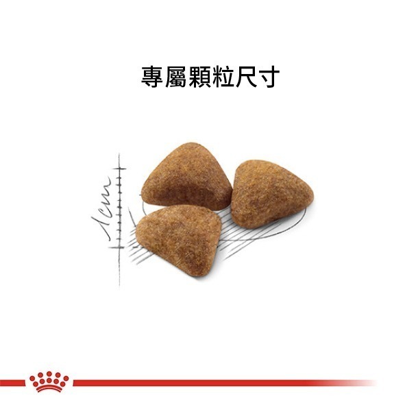 Royal Canin 法國皇家 貓飼料 室內成貓 IN27 專用乾糧 適口性高-細節圖4