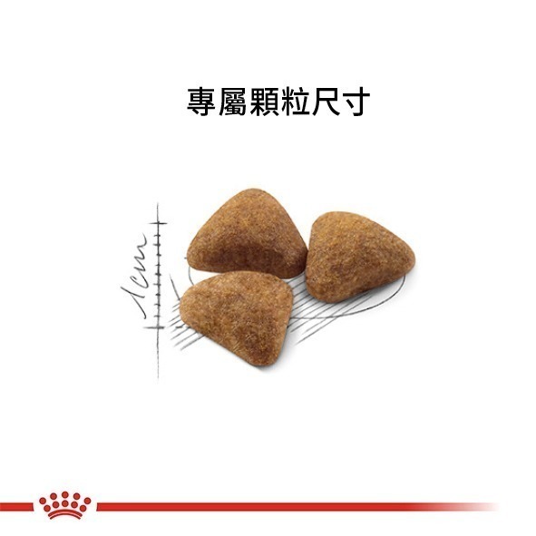 Royal Canin 法國皇家 貓飼料 室內成貓 IN27 專用乾糧 適口性高-細節圖4