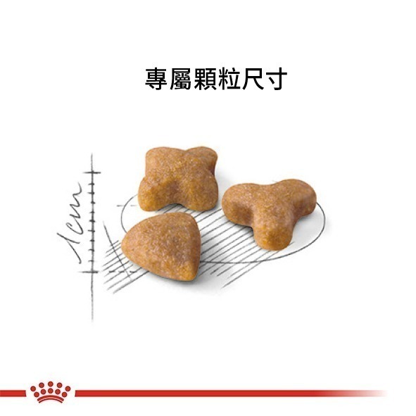 Royal Canin 法國皇家 貓飼料 腸胃敏感成貓 S33 專用乾糧 適口性高-細節圖4