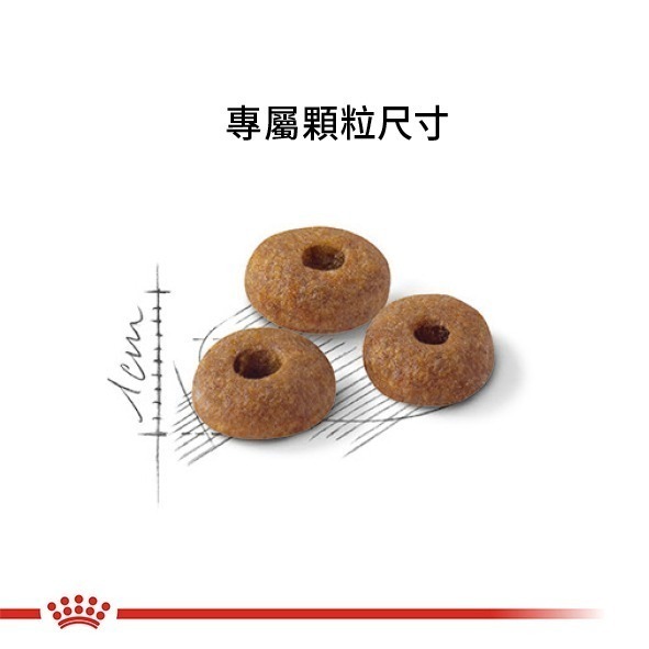 Royal Canin 法國皇家 貓飼料 理想體態成貓 F32 專用乾糧 適口性高-細節圖4