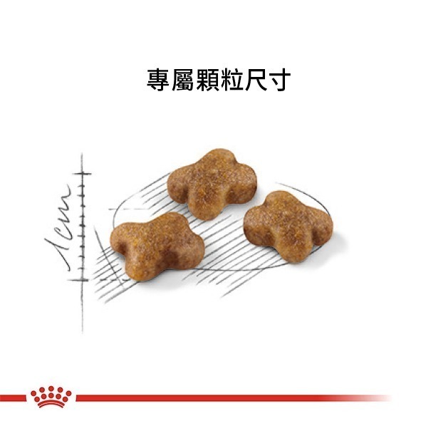 Royal Canin 法國皇家 貓飼料 幼貓 K36 專用乾糧 適口性高-細節圖4