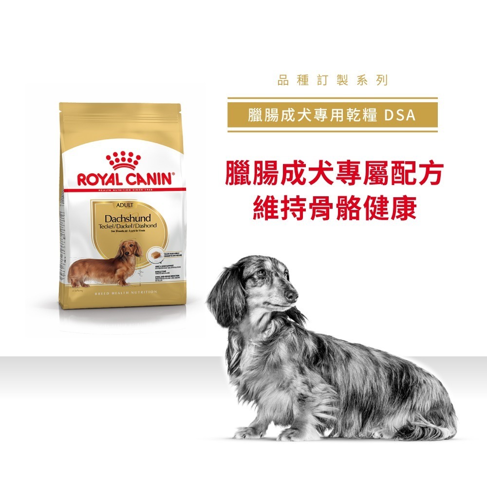 皇家 狗飼料 DSA 臘腸成犬 1.5公斤 ROYAL CANIN-細節圖2